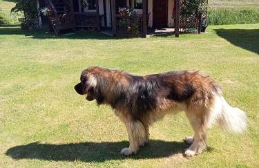 Agroturystyka Dolinka - Foto 2