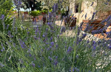 Casa Marisa Villa Vacanza - Foto 44