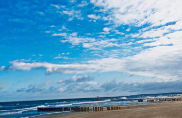 Apartamenty Kamienica Arte 1 - Foto 36