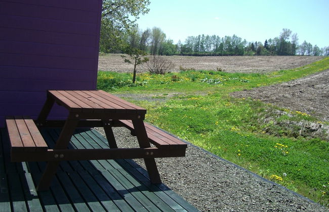 Cottage Ken&Mary - Foto 11