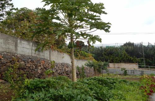 Villas Madalena Chalets vista mar cWiFi - Foto 20