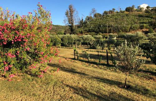 Casa da Menina - Photo 7