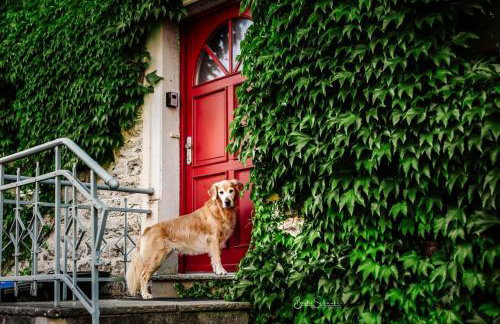 Ferienhaus Rote Sau - Foto 6