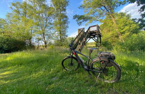 Bärenkoje Esens - Photo 23