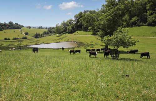 Twill Lodge - 4 Swandown - Foto 21