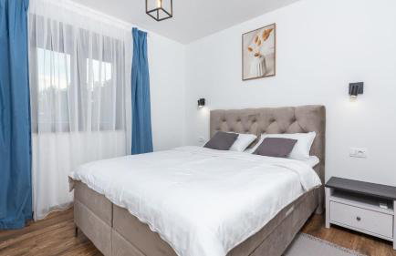 Modern villa Bibali Istra with pool in Buje - Foto 5