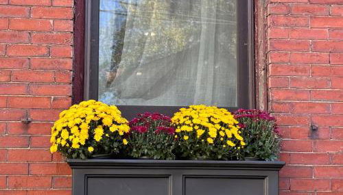 Central Square Studio with Off-Street Parking - Foto 2