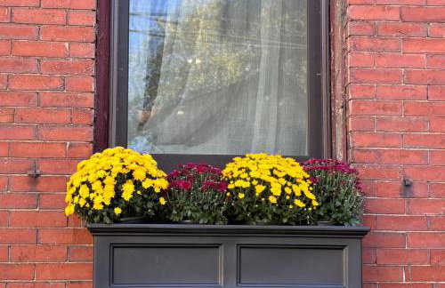 Central Square Studio with Off-Street Parking - Photo 2