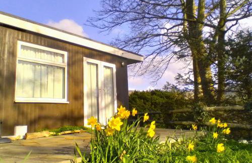 Sea Moss Cabin - Foto 27