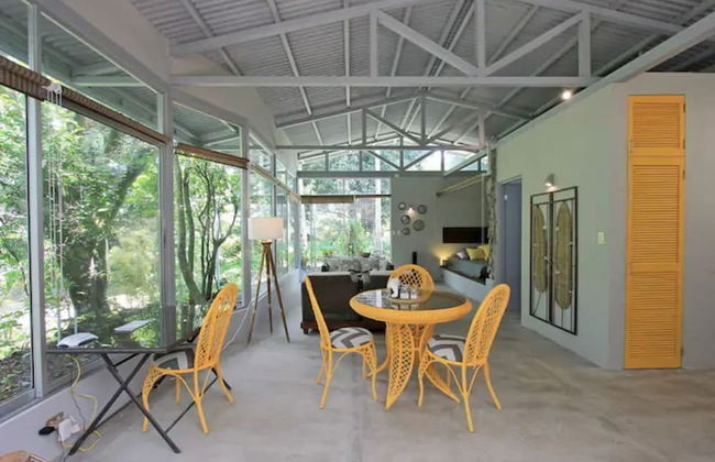 Relaxing Sound of River Birds Squirrels - Foto 14