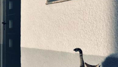 Casa Nazare - Foto 4