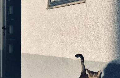 Casa Nazare - Foto 4