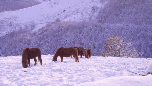 Apartamentos Peña Ubiña - Foto 3