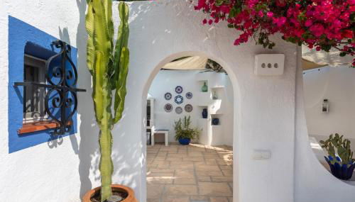 Hibiscus by Sun & Sea Homes - Foto 5, Garden