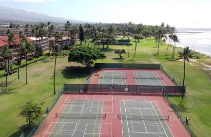 Calming Coastal Vistas - Photo 74