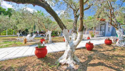 The House of Olive Trees - Foto 5, Garden
