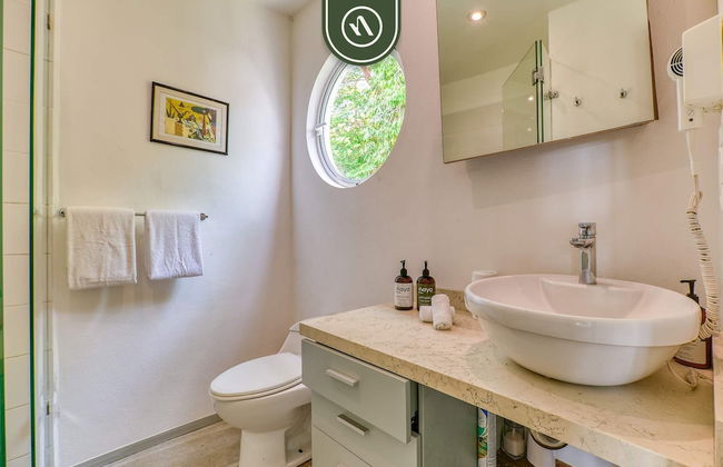 La Japihua in Jalisco - Foto 60