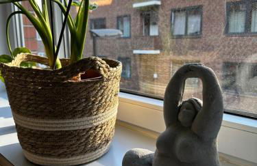 Großzügige 3-Zimmer Altbauwohnung - Foto 17