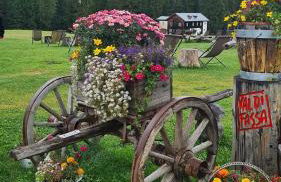 Mes Lastei - Foto 45