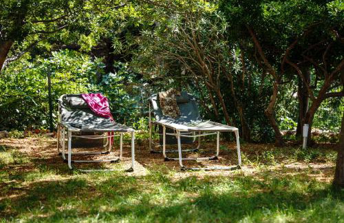 Dobre Vibracije - Foto 40