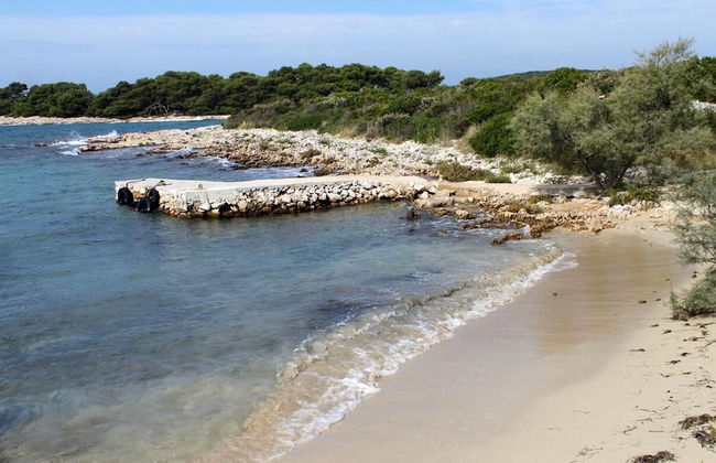 Peaceful 2-bedroom Robinson House Orca - Photo 15