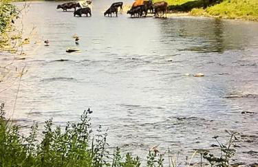 Beautiful self-catering cottages, Ribble Valley - Foto 35