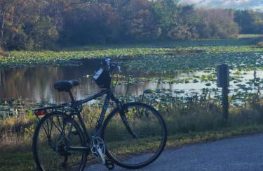 Largo, Fl Heated Pool 2 miles from Indian Rocks Beach Pets - Foto 68