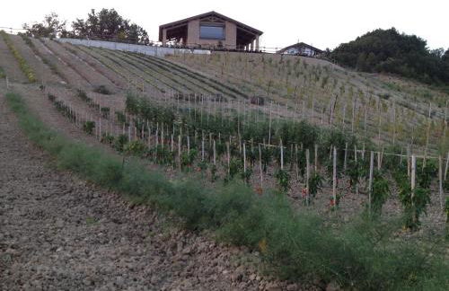 Agriturismo Alba Del Borgo - Photo 38