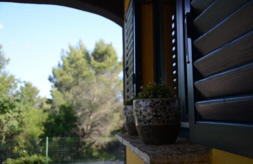 Villa Panorama - Foto 57