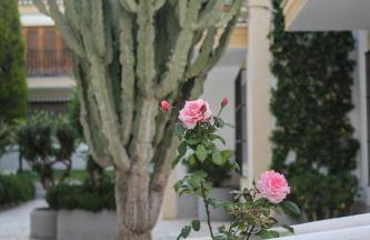 Casa del Mar Vera Costa - Foto 49