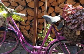 Ferienwohnung Sonnenschein Familie Hamdorf - Photo 26