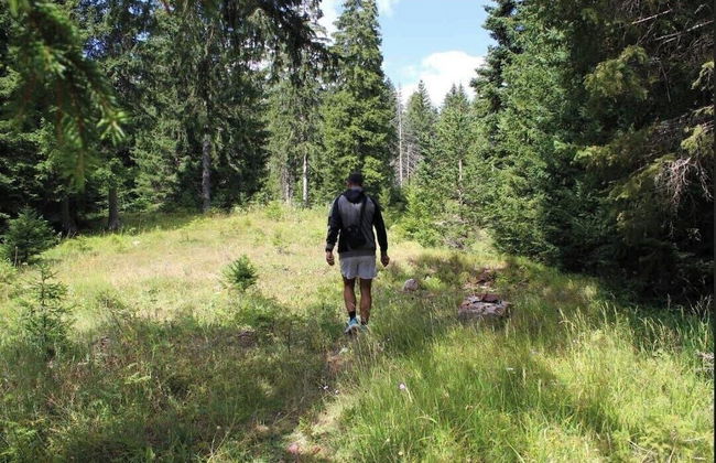 Casa di Pino EcoLodge Hotel - Photo 60