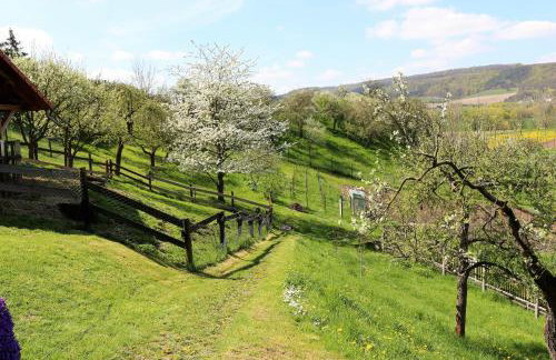 Ferienwohnung Saaletalblick - Foto 53