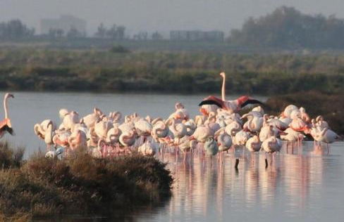 LA MAISON D&D - Foto 20