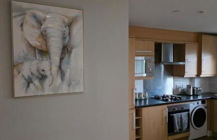 ANSI Splendor - Foto 17