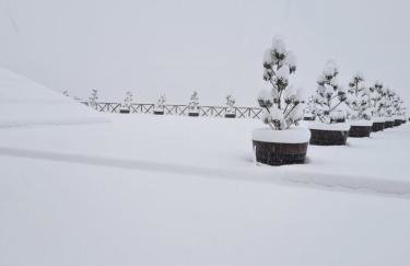 Pallas Casa - Photo 57