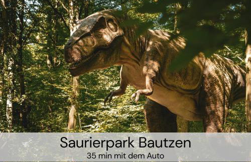 HexenburgbeiDresden 2 Zimmer Architektenwohnung mit eigener Sauna, Whirlwanne und Kamin - Nähe Sächsische Schweiz Dresden - Foto 33