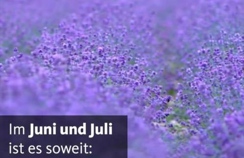 Detmolder Loft 3 - Foto 9