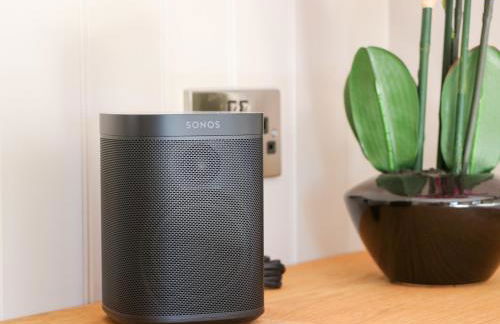 Little Silver Leaf - Foto 9