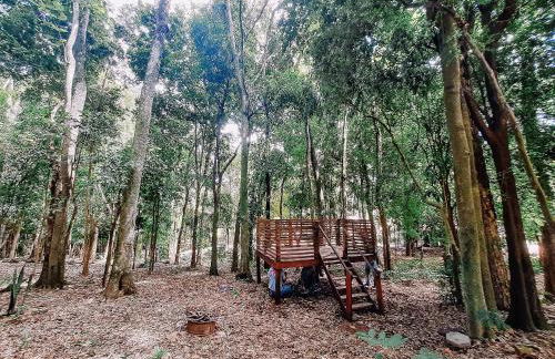 Recanto das Videiras - Casa em Vinícola - Foto 105