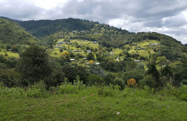 Yungas of Tucumán Day Trip - Photo 5