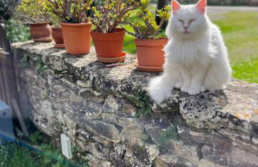 Casa do Largo - Foto 20