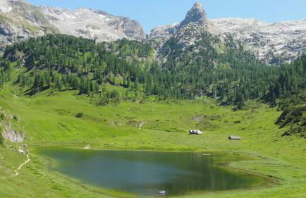 Bauernhof Vorderstiedler - Foto 48