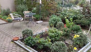 Komfort FeWo Stadt Mitte - Foto 3