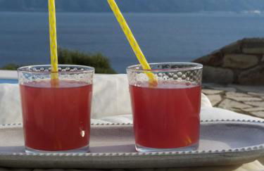 PRINCESS OF BLUE EAGLES RETREAT - Foto 19