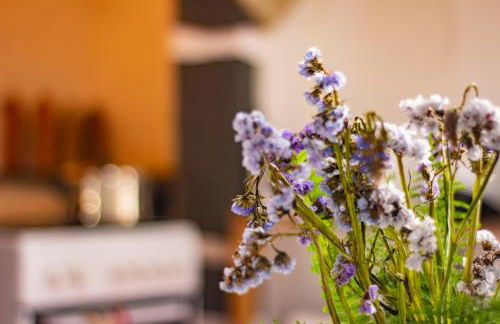 Graciosa Family House - Foto 31