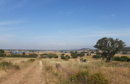 Herdade Terra rica - Photo 29