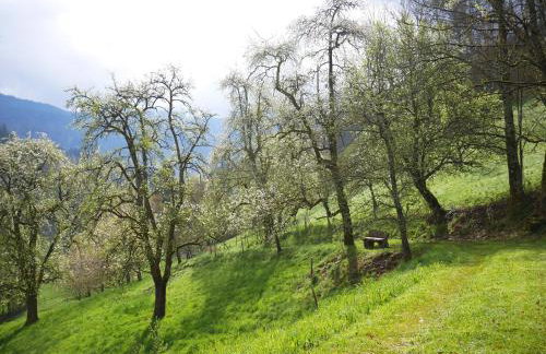 Bühlbauernhof - Foto 7