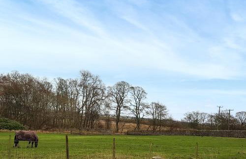 Kilconquhar Cottage - Photo 14