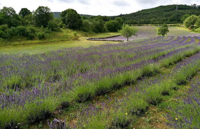 Countryside House Leila - Foto 53